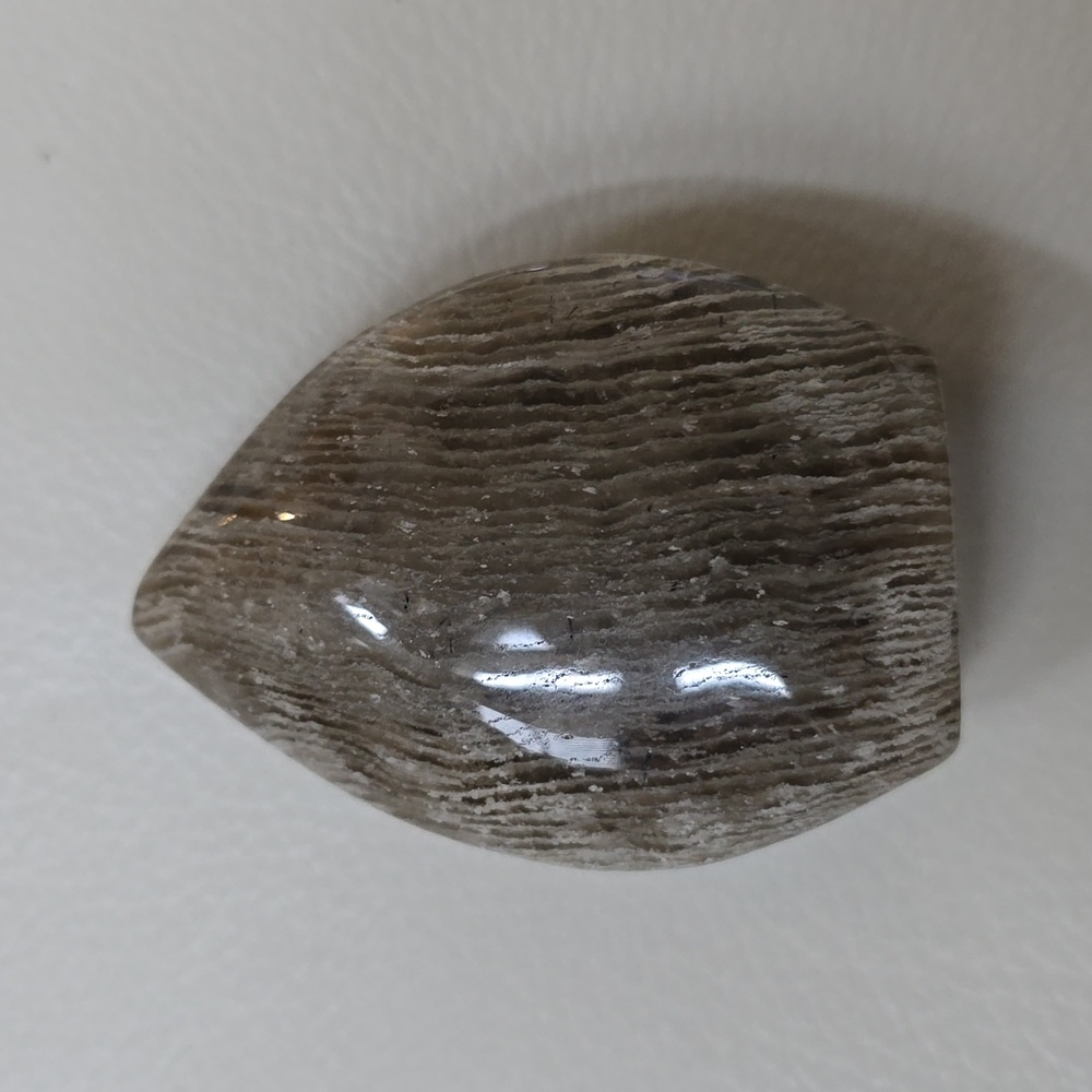 Dragon scale